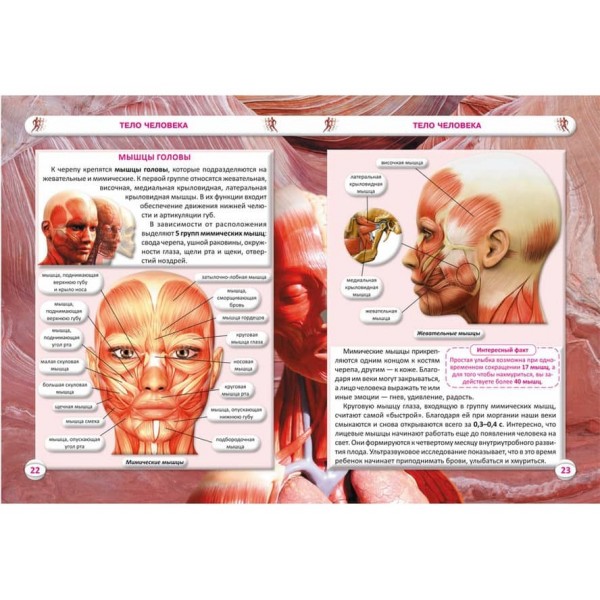 Все про тіло людини. 1000 цікавих фактів (російською мовою)