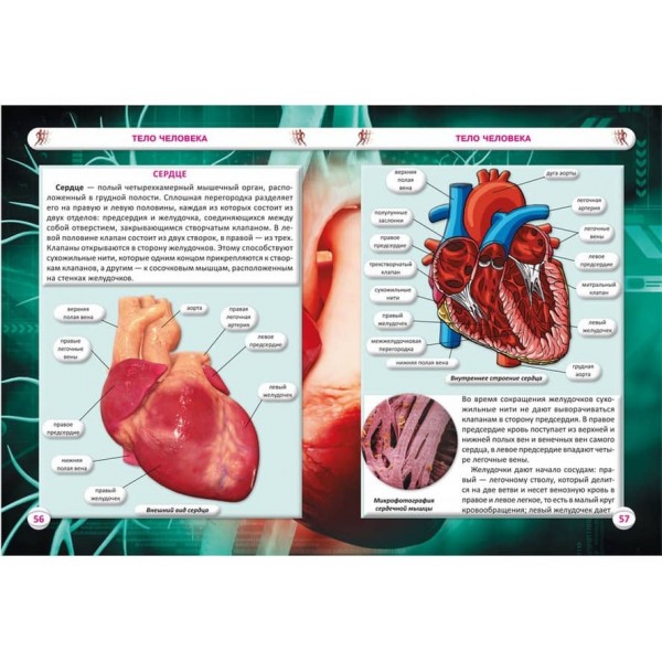 Все про тіло людини. 1000 цікавих фактів (російською мовою)