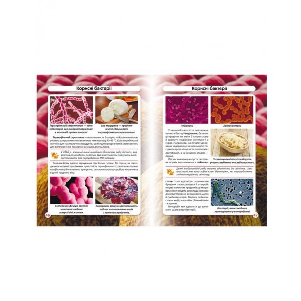 Світ навколо нас. Бактерії (українською мовою)