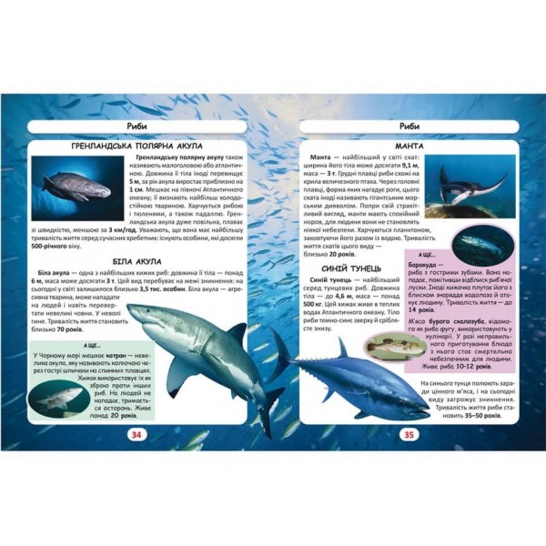 Світ навколо нас. Хто скільки живе?  (українською мовою)