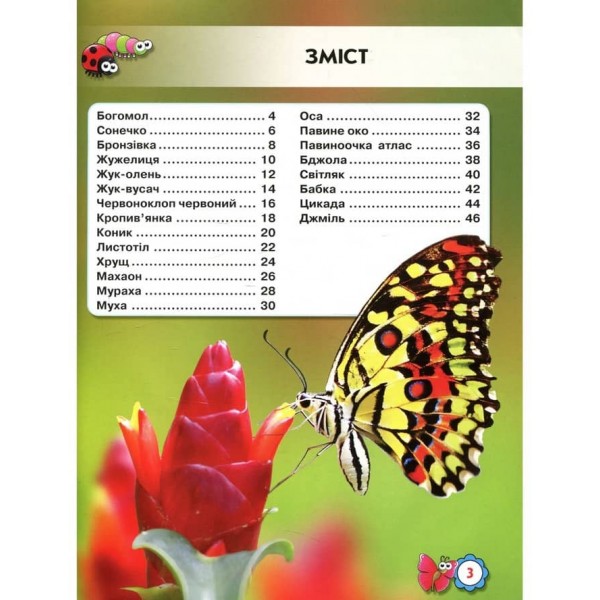 Світ навколо нас. Комахи (українською мовою)