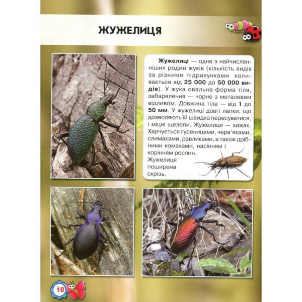 Світ навколо нас. Комахи (українською мовою)