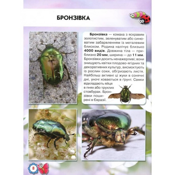 Світ навколо нас. Комахи (українською мовою)