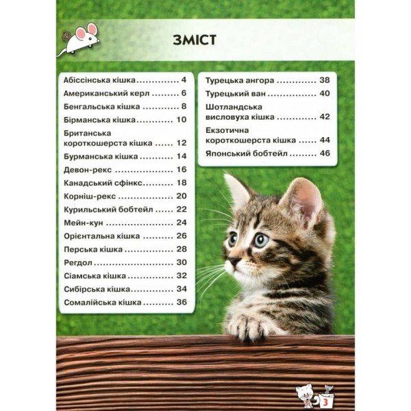 Світ навколо нас. Кішки (українською мовою)