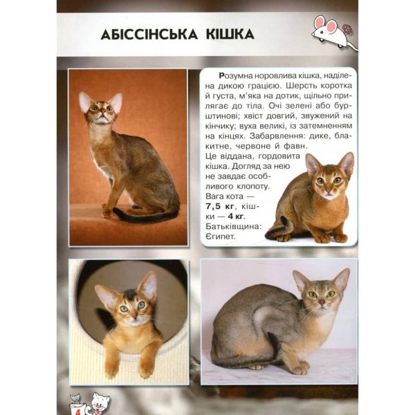 Світ навколо нас. Кішки (українською мовою)