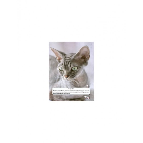 Світ навколо нас. Кішки (українською мовою)