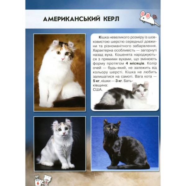 Світ навколо нас. Кішки (українською мовою)