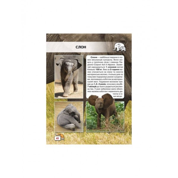 Світ навколо нас. Малята тварин (українською мовою)