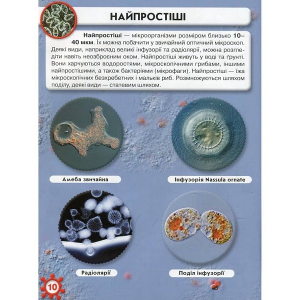 Світ навколо нас. Мікросвіт  (українською мовою)