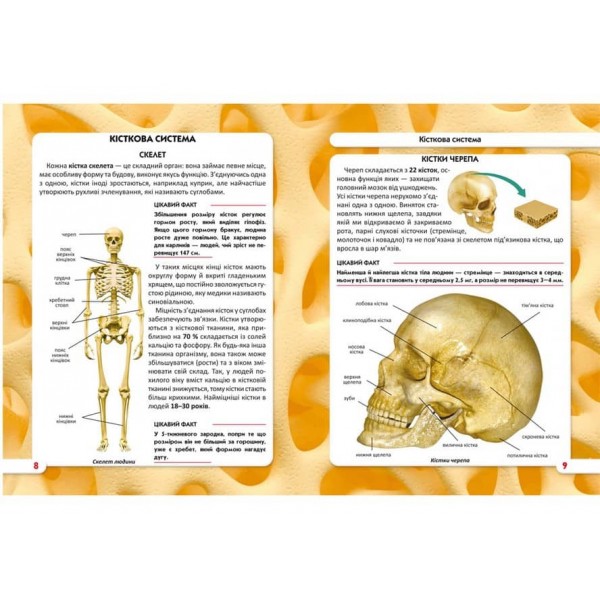Світ навколо нас. Тіло людини  (українською мовою)