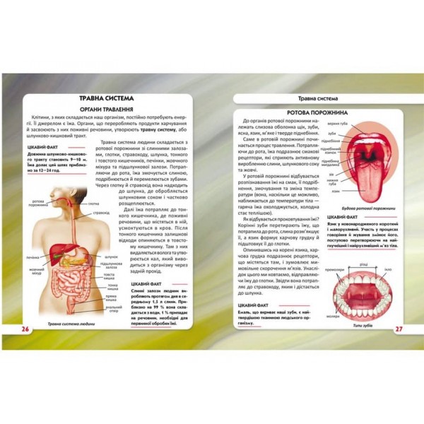 Світ навколо нас. Тіло людини  (українською мовою)