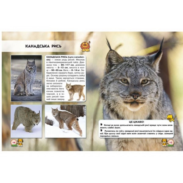 Світ навколо нас. Великі кішки (українською мовою)