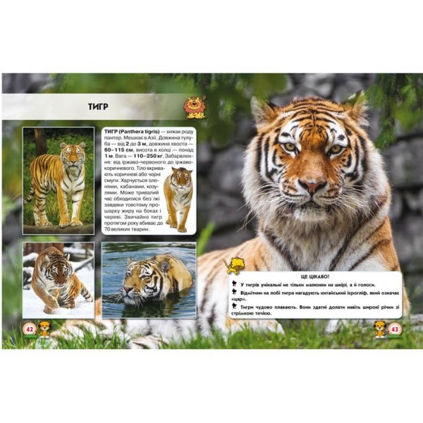 Світ навколо нас. Великі кішки (українською мовою)