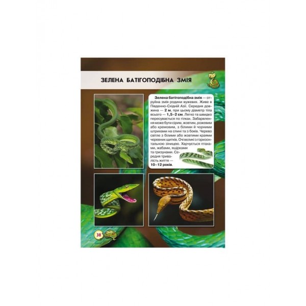 Світ навколо нас. Змії (українською мовою)