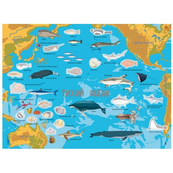 Атлас океанів з багаторазовими наліпками (українською мовою)
