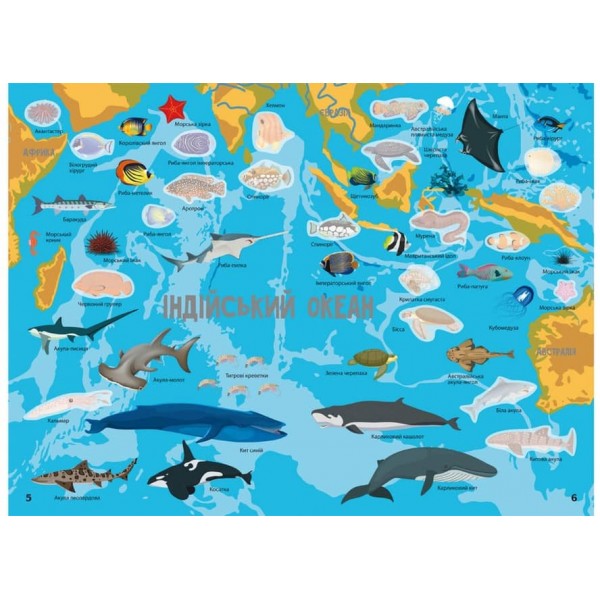 Атлас океанів з багаторазовими наліпками (українською мовою)
