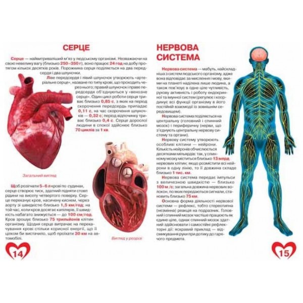 Велика книжка. Анатомія людини (українською мовою)