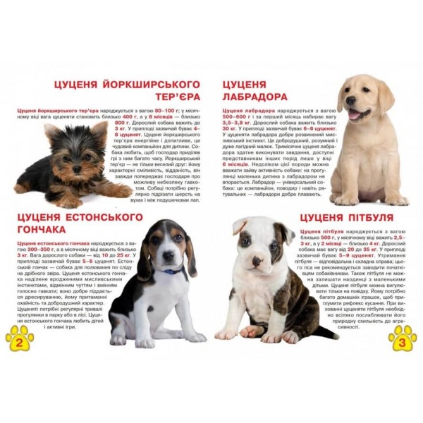 Велика книжка. Цуценята (українською мовою)