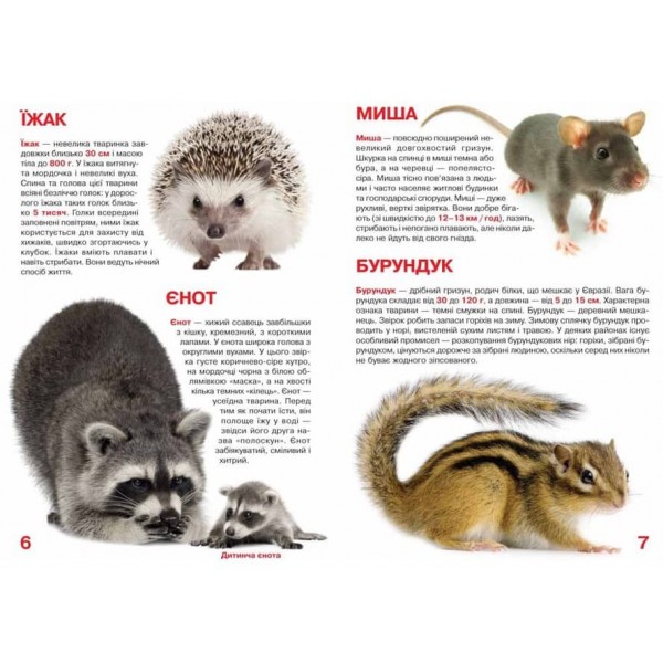 Велика книжка. Дикі тварини (українською мовою)