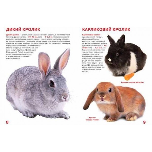 Велика книжка. Гризуни (українською мовою)