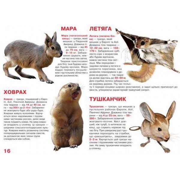 Велика книжка. Гризуни (українською мовою)