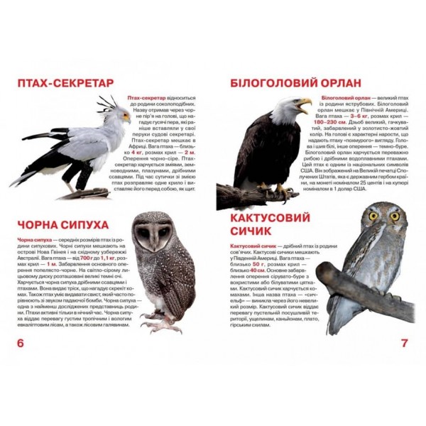 Велика книжка. Хижі птахи (українською мовою)