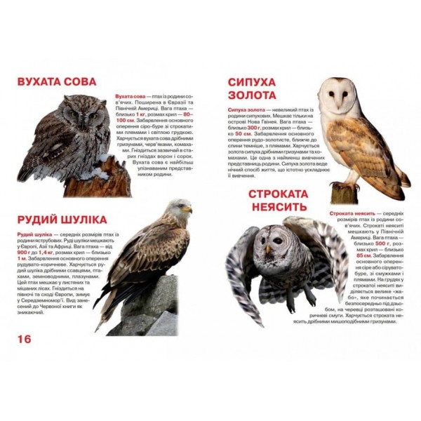 Велика книжка. Хижі птахи (українською мовою)