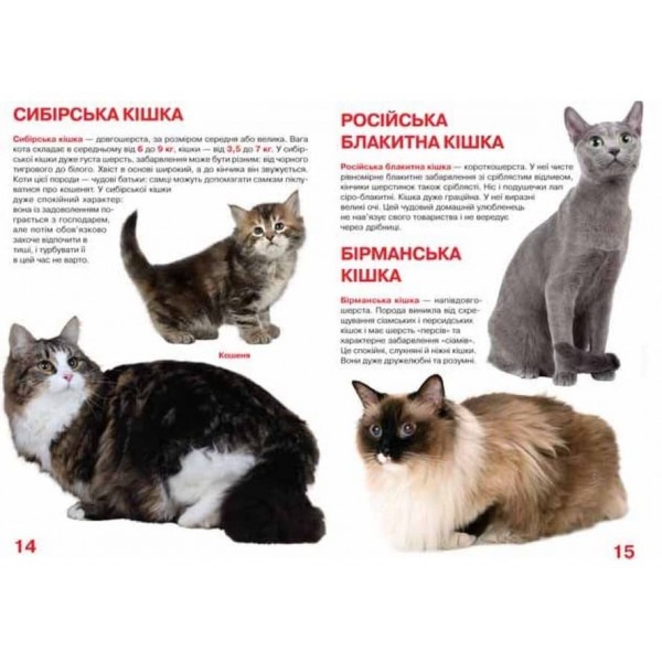 Велика книжка. Кішки (українською мовою)