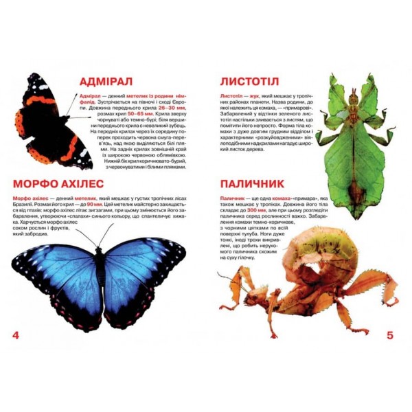 Велика книжка. Комахи (українською мовою)