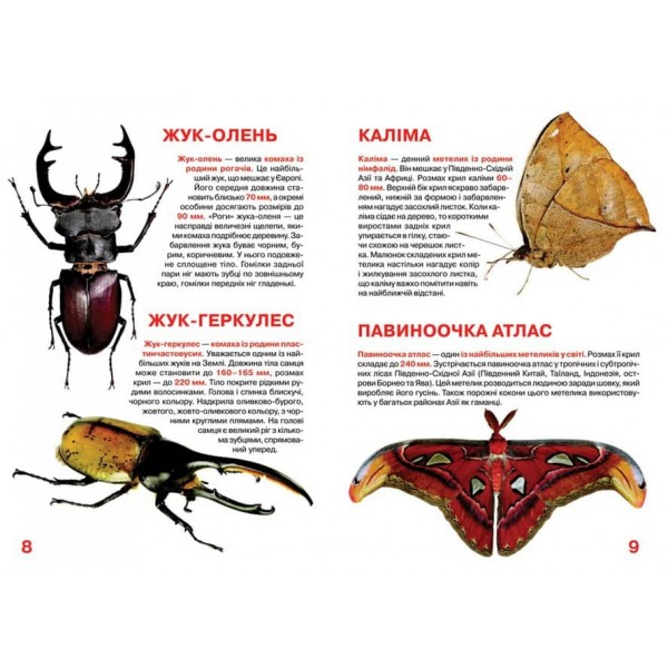 Велика книжка. Комахи (українською мовою)