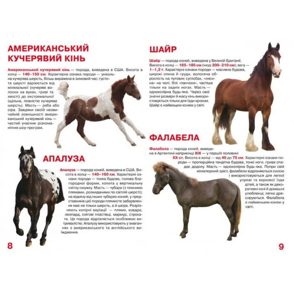 Велика книжка. Коні і поні (українською мовою)