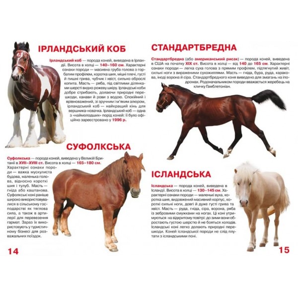 Велика книжка. Коні і поні (українською мовою)