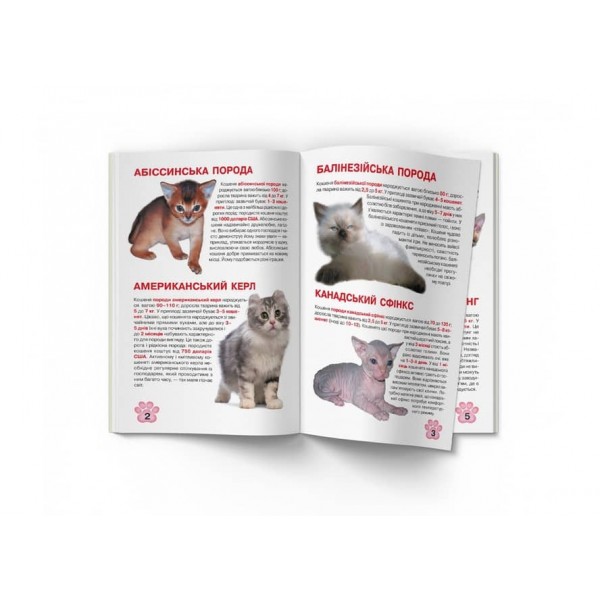 Велика книжка. Кошенята (українською мовою)