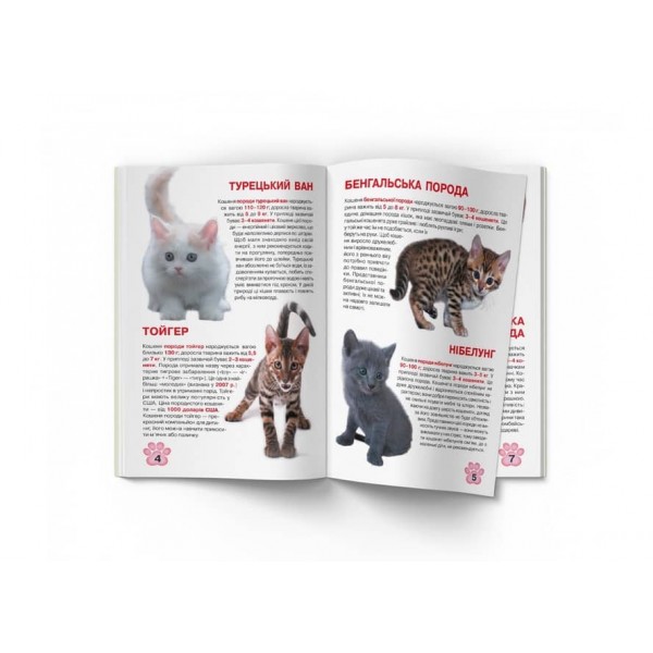 Велика книжка. Кошенята (українською мовою)