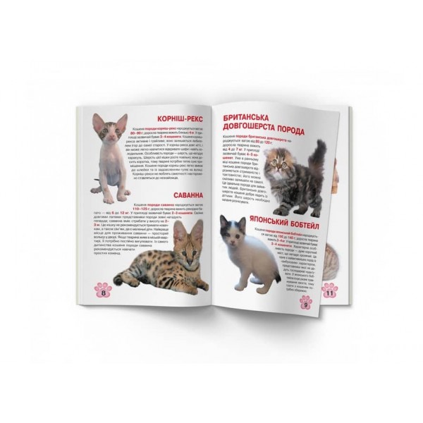 Велика книжка. Кошенята (українською мовою)