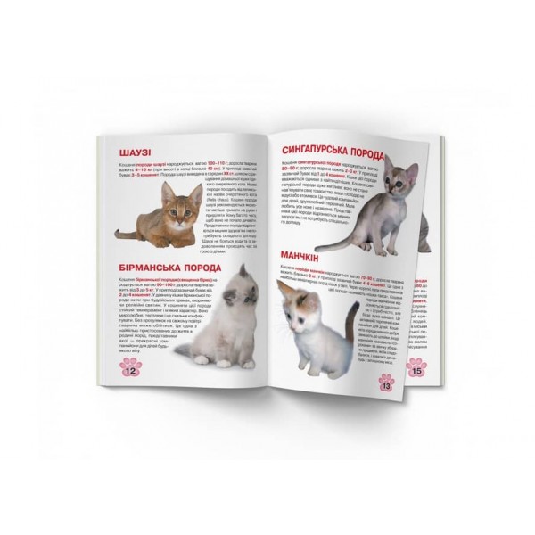 Велика книжка. Кошенята (українською мовою)