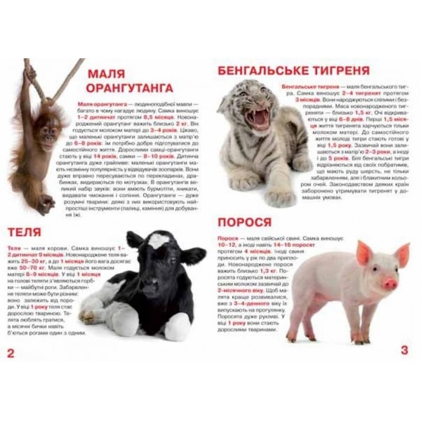 Велика книжка. Малята тварин (українською мовою)