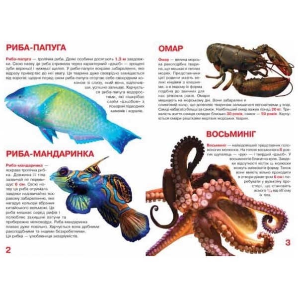 Велика книжка. Мешканці морів та океанів  (українською мовою)