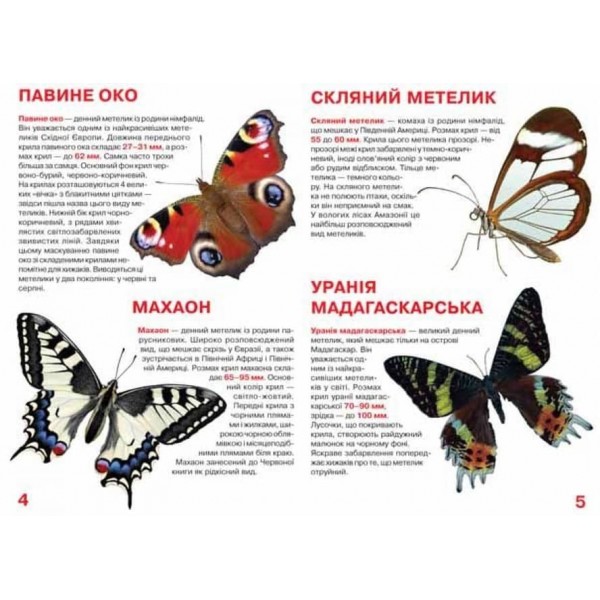 Велика книжка. Метелики  (українською мовою)
