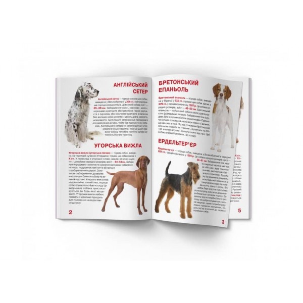 Велика книжка. Мисливські собаки (українською мовою)