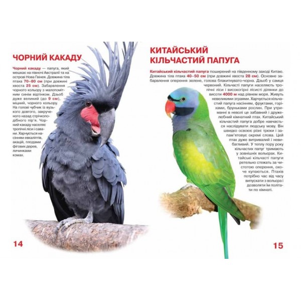 Велика книжка. Папуги (українською мовою)