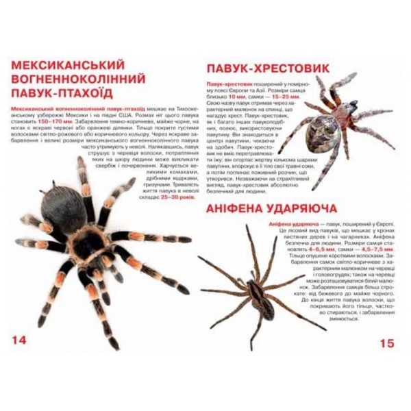 Велика книжка. Павуки  (українською мовою)