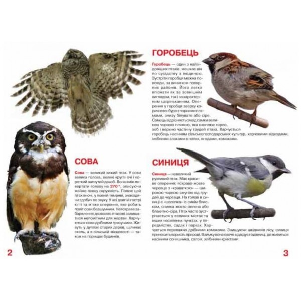 Велика книжка. Птахи (українською мовою)