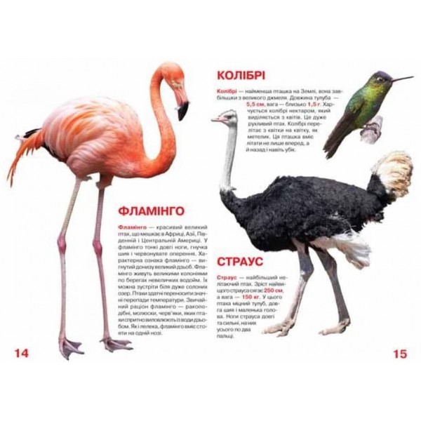 Велика книжка. Птахи (українською мовою)