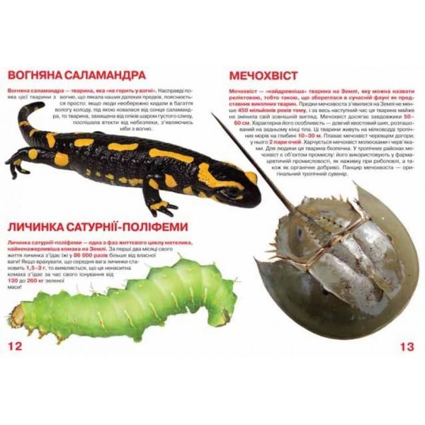 Велика книжка. Рекорди тваринного світу (українською мовою)