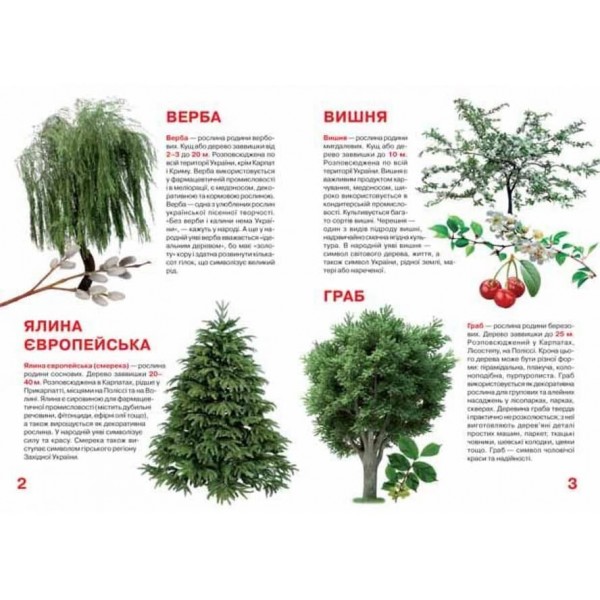 Велика книжка. Рослинний світ України (українською мовою)