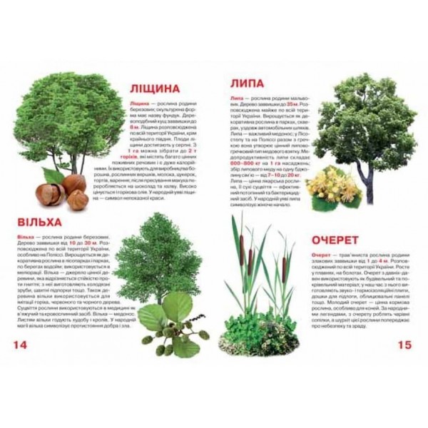 Велика книжка. Рослинний світ України (українською мовою)