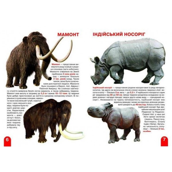 Велика книжка. Слони, носороги, бегемоти (українською мовою)