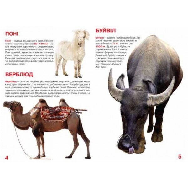 Велика книжка. Свійські тварини (українською мовою)