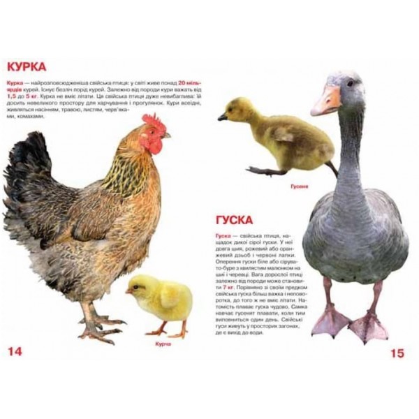 Велика книжка. Свійські тварини (українською мовою)